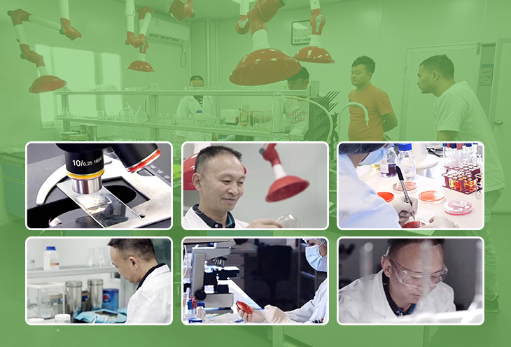 如何選擇質(zhì)量好的防霉片呢？